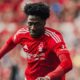 Nottingham Forest/Instagram
