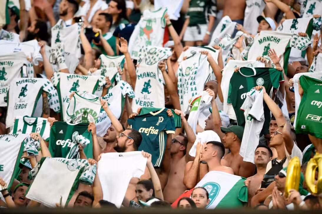 palmeiras torcida verdao porco
