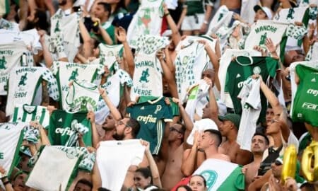 palmeiras torcida verdao porco