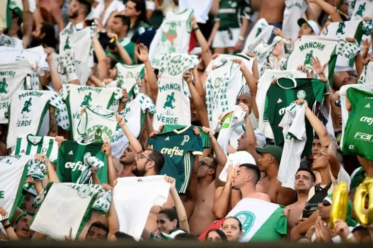 palmeiras torcida verdao porco