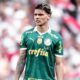 richard rios palmeiras