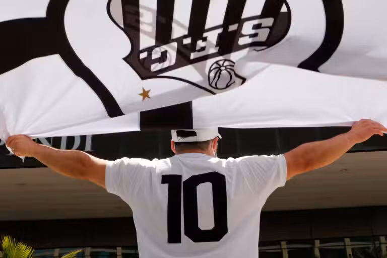 santos futebol clube torcida