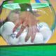 sorteio copa do brasil