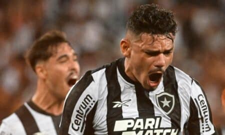 time botafogo brasileirao tiquinho soares