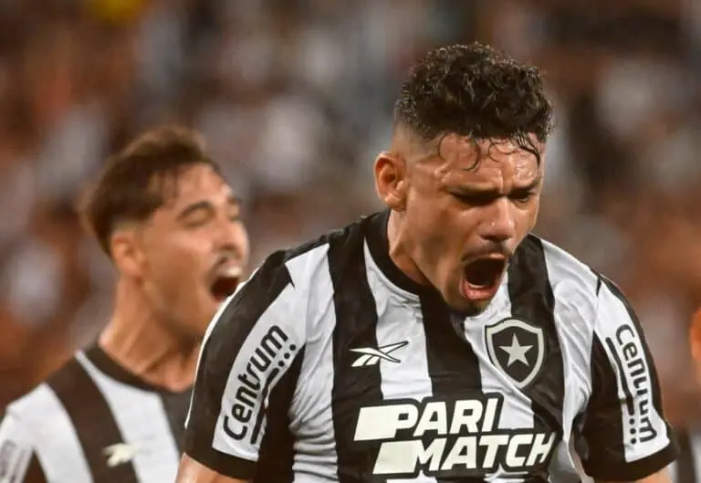 time botafogo brasileirao tiquinho soares