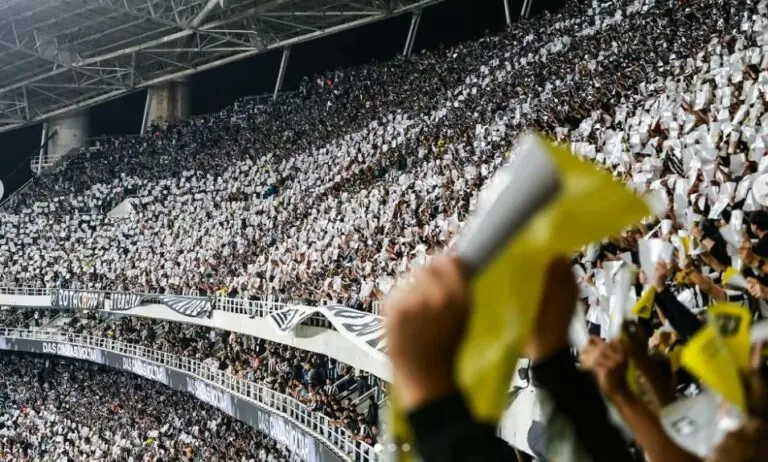 torcida botafogo bota
