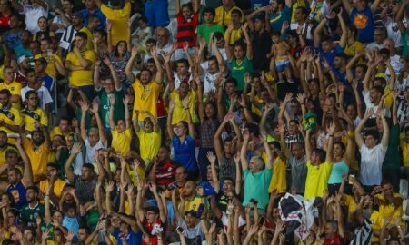 torcida cbf futebol brasileiro