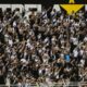 torcida ponte preta