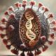 virus doença genetica