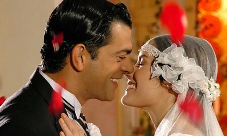 Alma Gemea novela