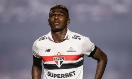 Arboleda São Paulo