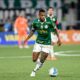 CAIO PAULISTA PALMEIRAS