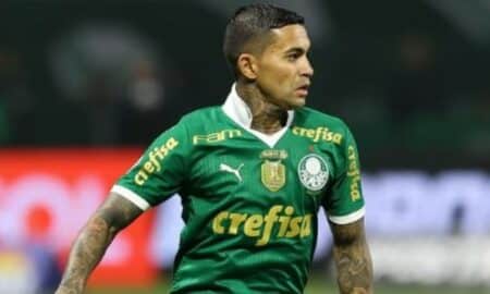 Dudu Palmeiras