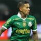 Dudu Palmeiras
