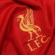 ESCUDO LIBERPOOL