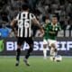 Estevão Palmeiras