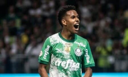Estevão palmeiras