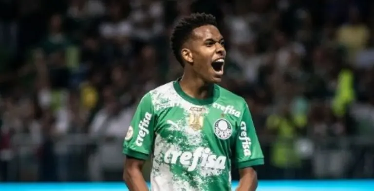 Estevão palmeiras