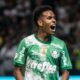 Estevão palmeiras