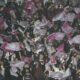 Lanus
