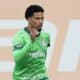 Murilo Paim Palmeiras