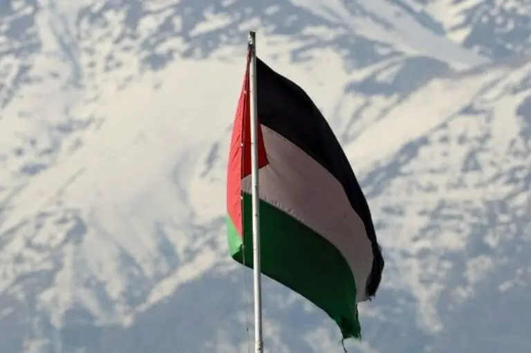 Palestino