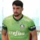 Piquerez Palmeiras