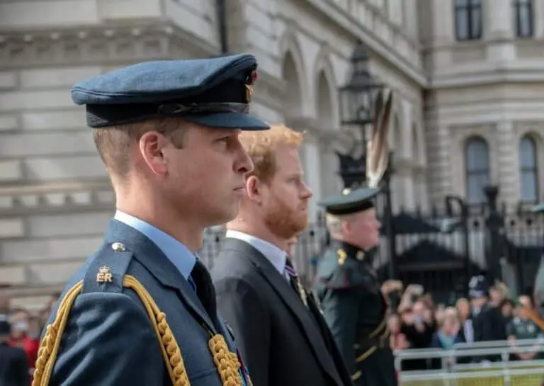 Principe harry e principe william