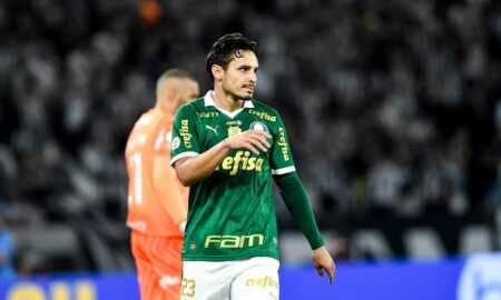 RAPHAEL VEIGA PALMEIRAS