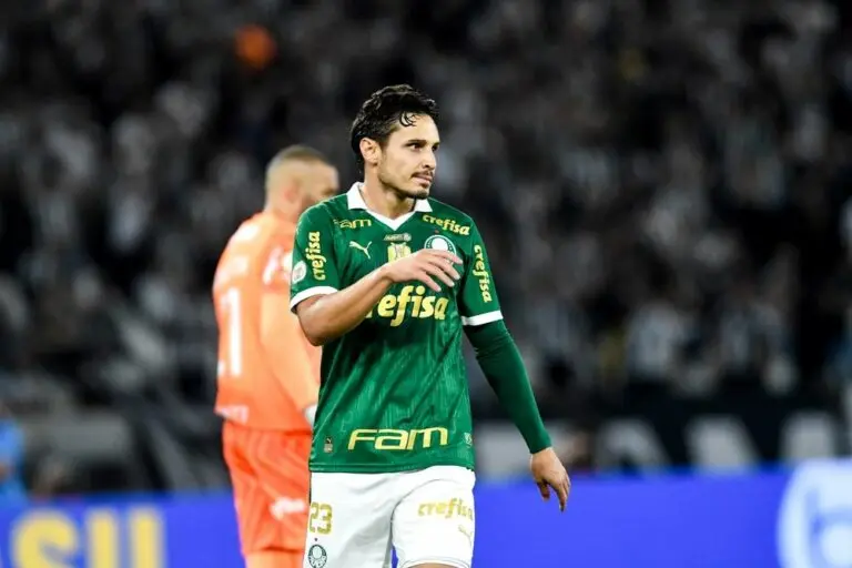 RAPHAEL VEIGA PALMEIRAS