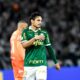 RAPHAEL VEIGA PALMEIRAS