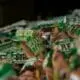 Real Betis Balompié la liga