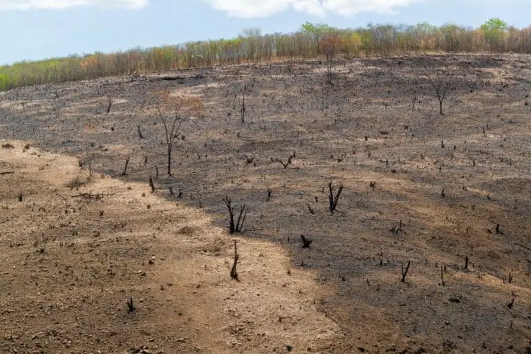 Seca no Brasil