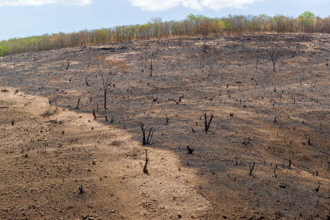 Seca no Brasil