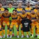 Tigres