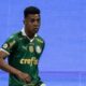 VANDERLAN PALMEIRAS