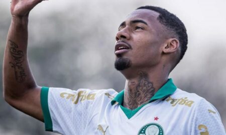 allan palmeiras