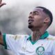 allan palmeiras