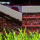 benfica FC