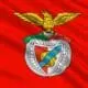 benfica bandeira futebol