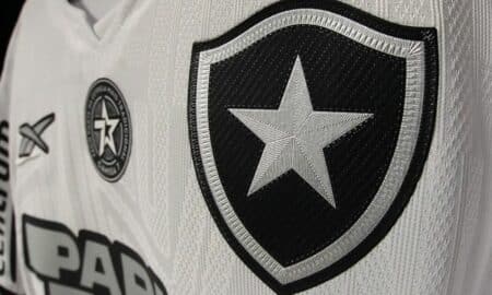 botafogo time futebol