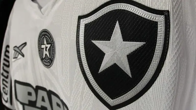 botafogo time futebol