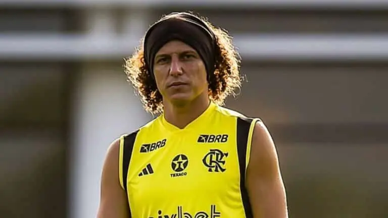 david luiz flamengo