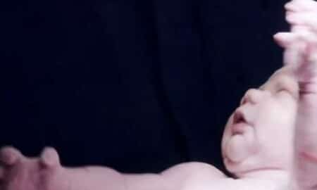 filho da virginia
