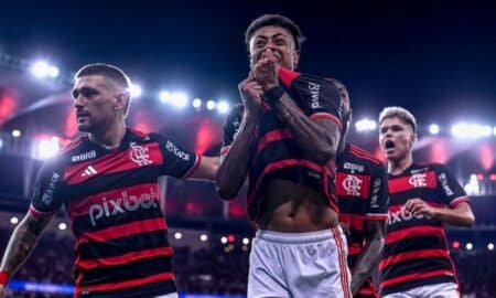 flamengo futebol selecao