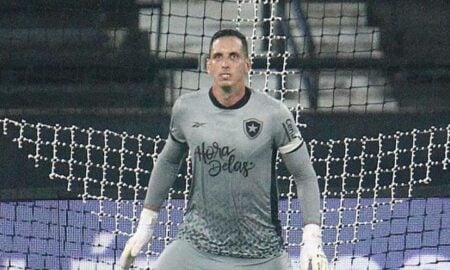 gatito botafogo