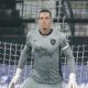 gatito botafogo
