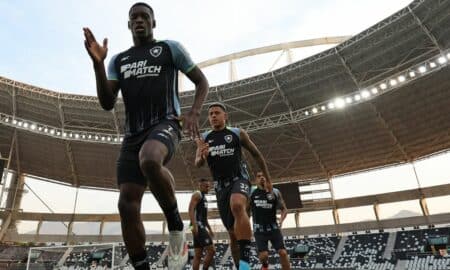 jogadores botafogo
