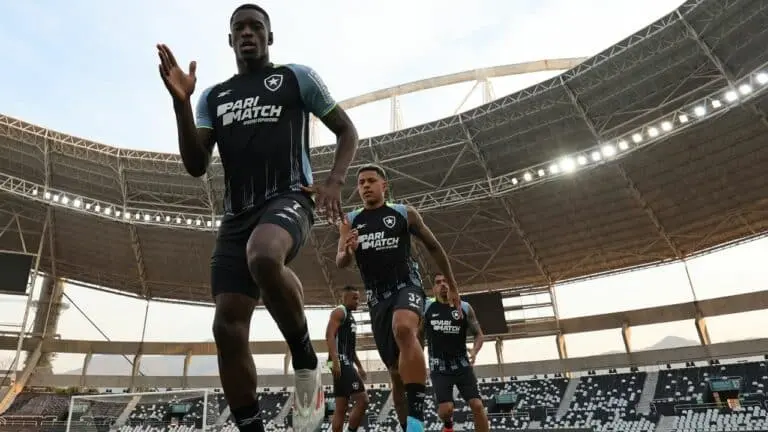 jogadores botafogo