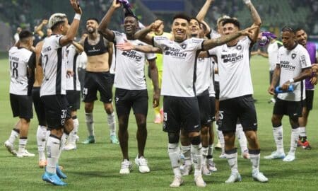 jogadores botafogo